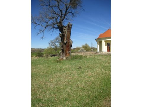 Foto 51